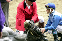 B.C.DISTAFF