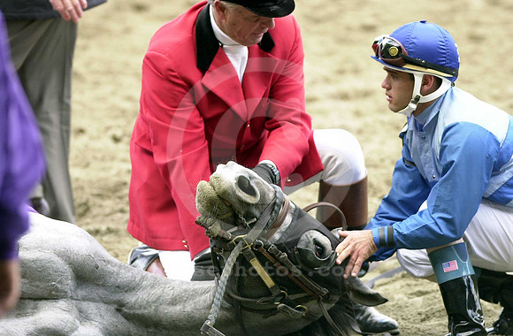 B.C.DISTAFF