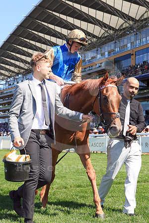250618D559ROYAL_ASCOT