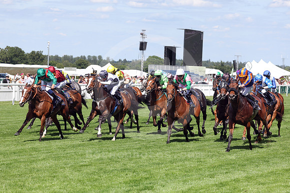 260616D533ROYAL_ASCOT