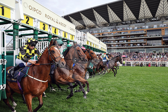 260616D583ROYAL_ASCOT