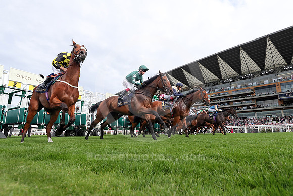 260616D585ROYAL_ASCOT