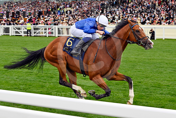 Ombudsman904ROYAL_ASCOT
