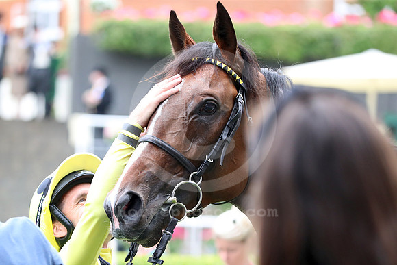 230620D517ROYAL_ASCOT