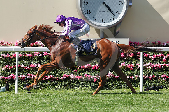 Precise551ROYAL_ASCOT