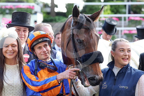 mission_central536ROYAL_ASCOT