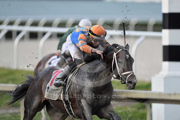 Forte the FL Derby credit Nicole Thomas3