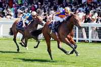 True_love_ROYAL_ASCOT