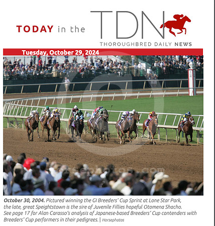 TDN 2024-11-04 at 9.46.05 AM (2)