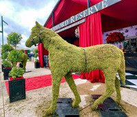 2022_KY_derby_scenics04