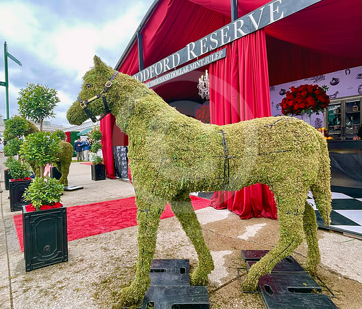 2022_KY_derby_scenics04