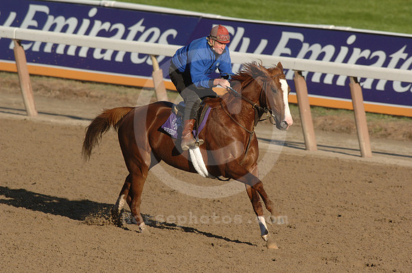 borrego02_jd