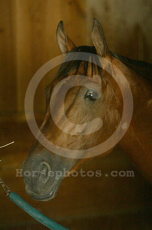 calidoscopio09a_cg