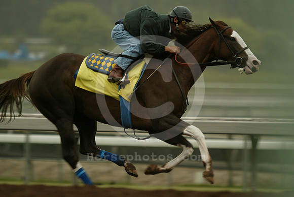 westernhemisphere08_ljp