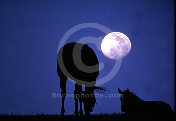 moonlit sky 2