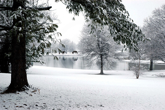 snowscene01_mk