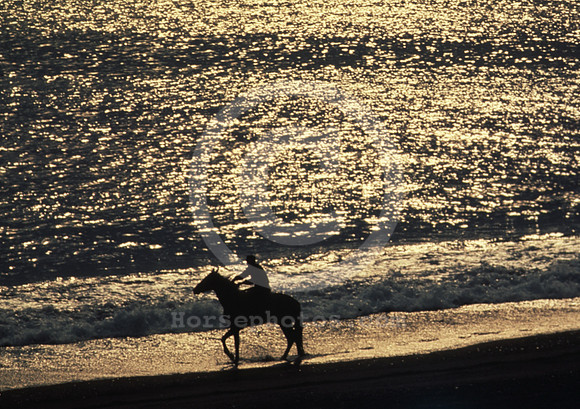 water & rider