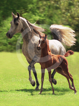 In Stride move