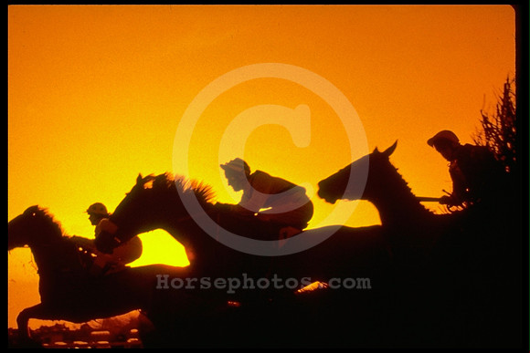 silhouetted_steeplechase01