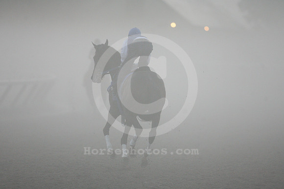 rachelalexandra509_br