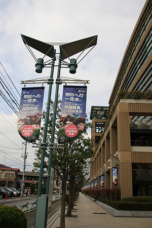 fukushimaracecourse05_tm