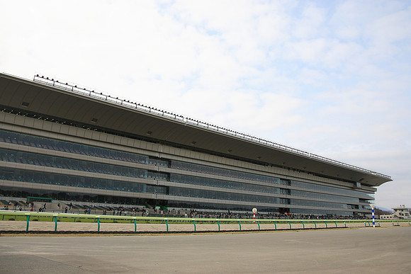 fukushimaracecourse08_tm