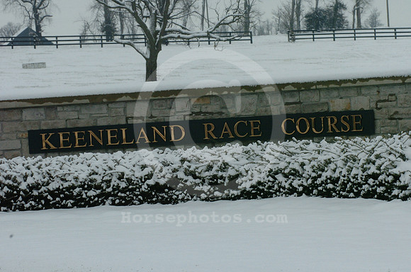 keeracecourse_jan04_01_jd