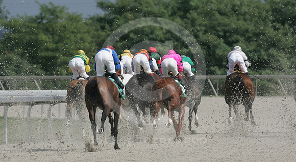 kentuckycup03_mjm