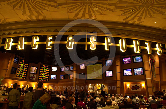 raceandsportsbook_mjm