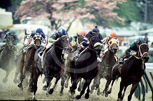 racingaction028
