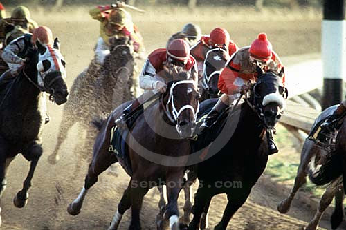 racingaction030