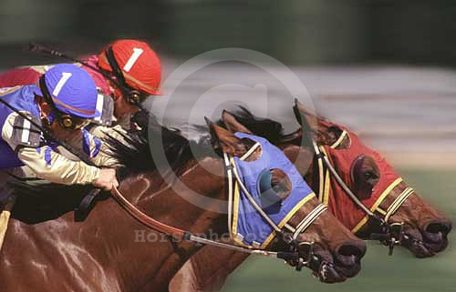 racingaction045mb