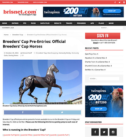 brisnet 2024-11-04 at 9.25.55 AM (2)