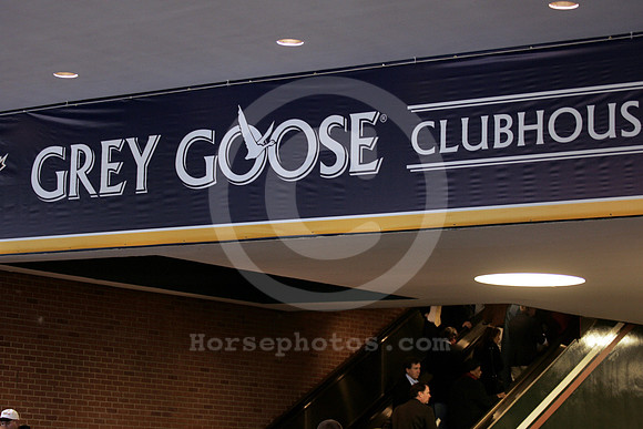 bc05_greygoose09_ae