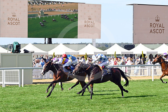 250621C560ROYAL_ASCOT