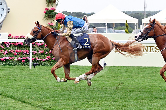 250621C501ROYAL_ASCOT