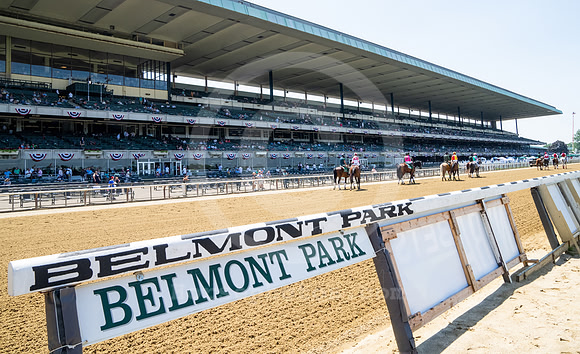belmont_grandstand_crowd51