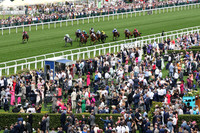 Charyn500ROYAL_ASCOT