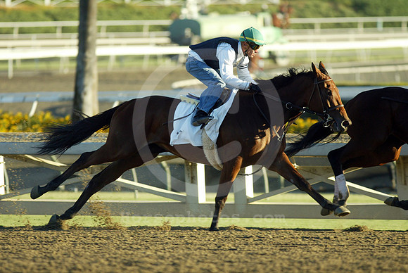 beholder16a_cg