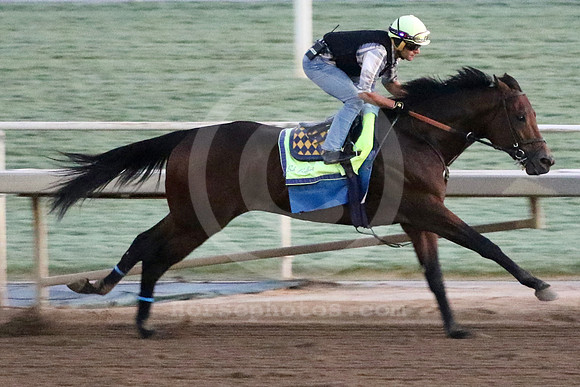 arabian_knight02