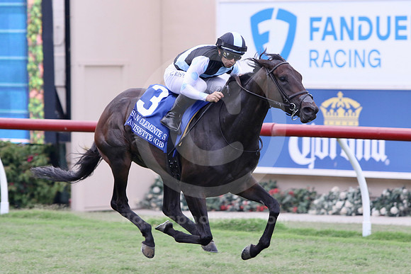 anisette01