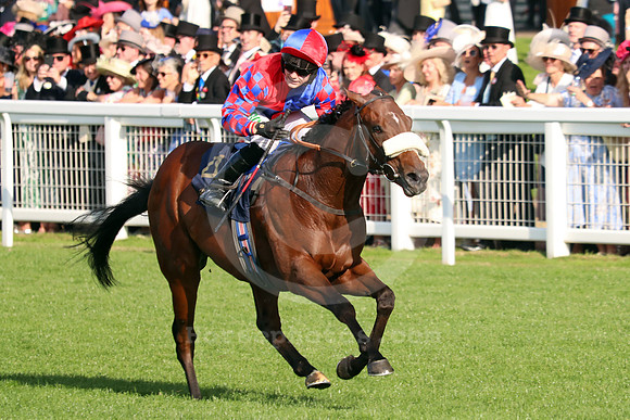 big_evs_ROYAL_ASCOT
