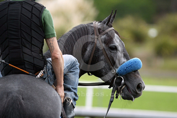 balladry01_cg