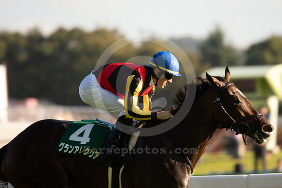 GRANALEGRIA02_tm