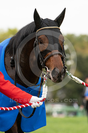 EPOCADORO06_tm