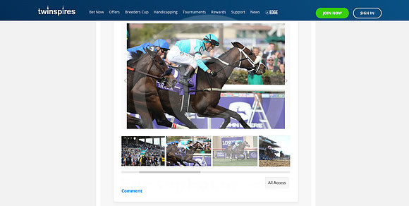 twinspires 2024-11-04 at 9.31.49 AM (2)