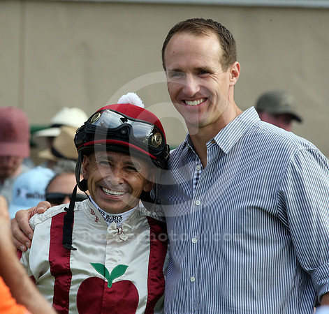 mikesmith_drewbrees01_cg