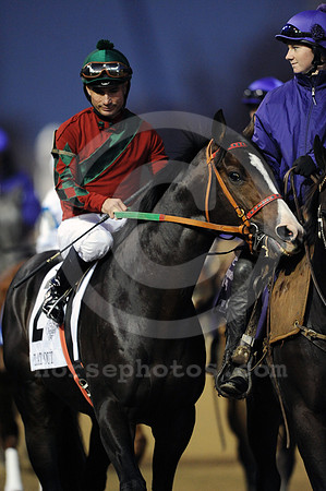 bc11cl201_ljp