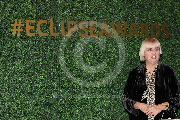 eclipse18_nancyrokos03_cg