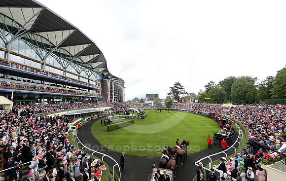 Royalascot_queenelizabeth112_fs